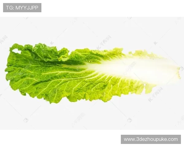 全面汇总：各类白菜收集网站大全推荐